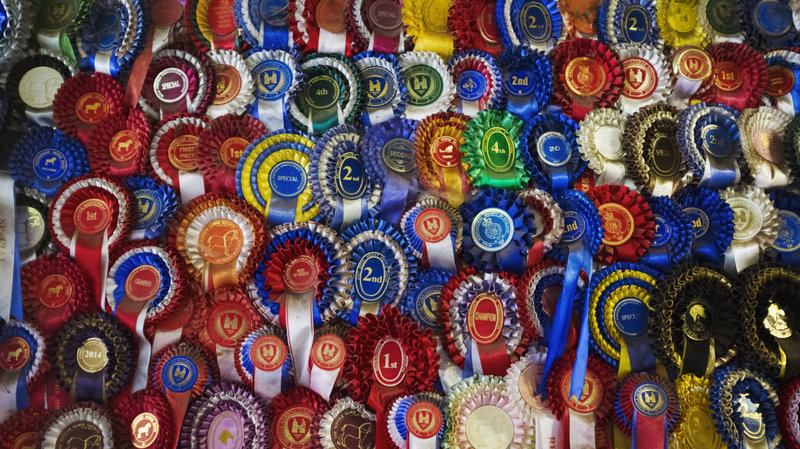 ribbons is awards or cash better to motivate