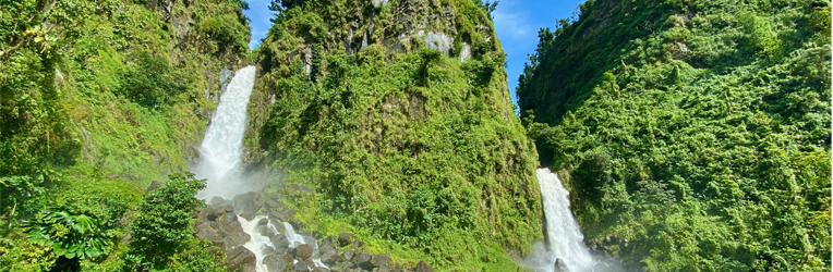 dominica - banker destination