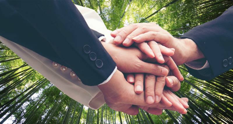 Green Partnership Support