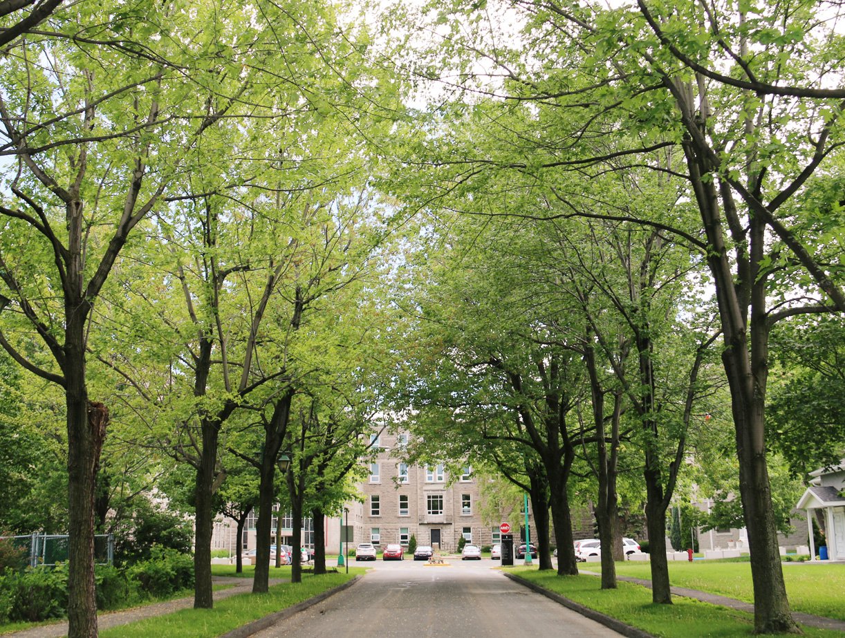 COLLÈGE JEAN DE LA MENNAIS