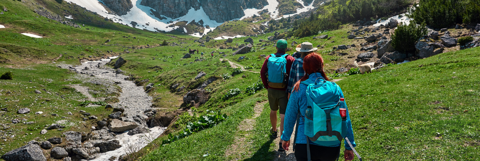 people doing a hike