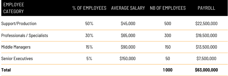 Table of Employee and Salary Distribution of Our Typical Company