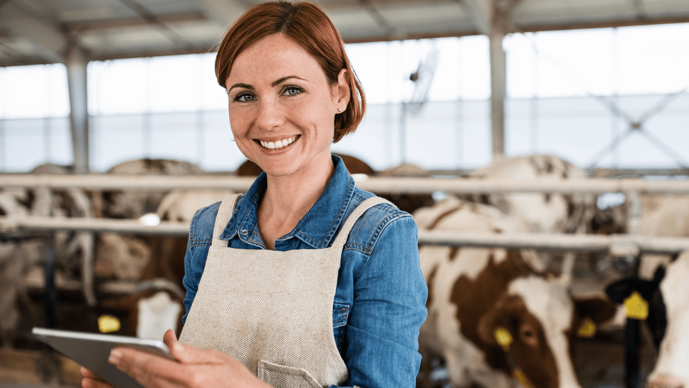 Programme d’années de service : l’expérience Trouw Nutrition avec Altrum