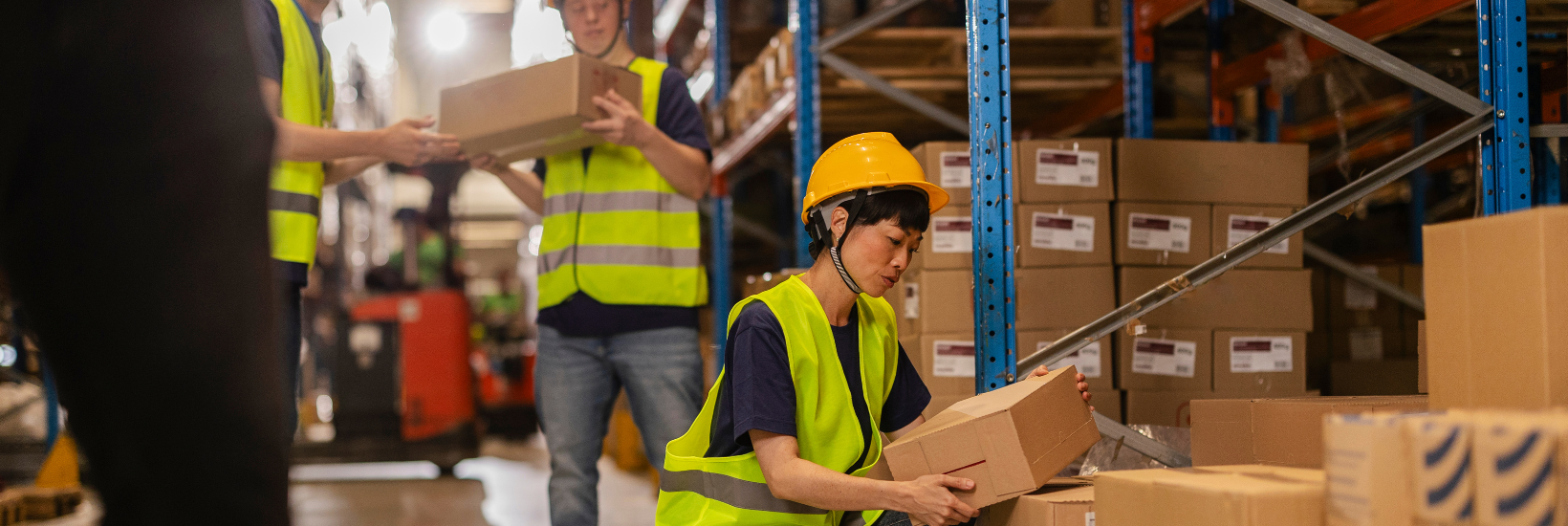 Employees in a distribution centre