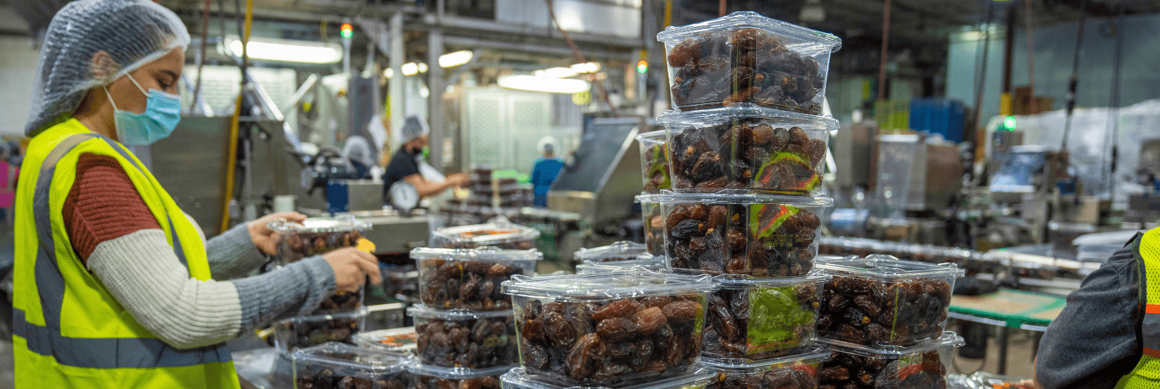 Employee working in food manufacturing