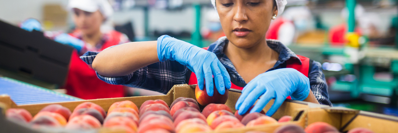 Employee in the fruits department